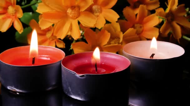 Candles Yellow Flowers Memorial Day Flame Burning Candle Dark Minute — Stock Video