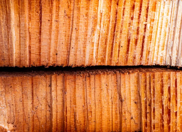 Texture Une Fissure Transversale Dans Une Coupe Bois Pin Arbre — Photo