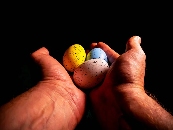 Siyah Arka Planda Paskalya Tavuğu Yumurtası Paskalya Tavuğu Yumurtası Dirildi — Stok fotoğraf