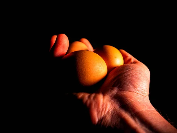 Easter chicken eggs in hand on a black background. Easter chicken eggs. Christ is risen. Christian religion. Religious holiday. Palms of human hands. Christian culture. Religious prayer. Tradition.