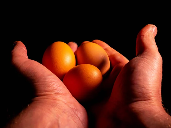 Easter chicken eggs in hand on a black background. Easter chicken eggs. Christ is risen. Christian religion. Religious holiday. Palms of human hands. Christian culture. Religious prayer. Tradition.