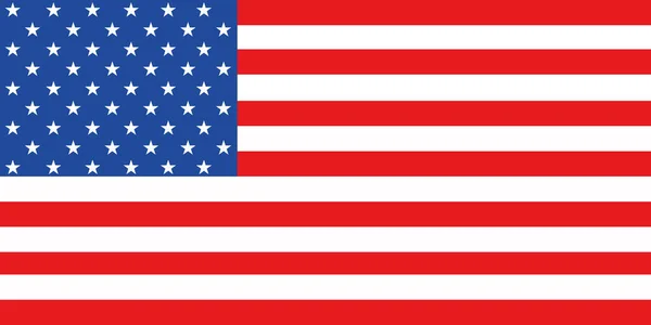 Bandera Nacional Del País Los Estados Unidos América Bandera Usa — Vector de stock