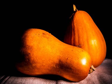 Siyah arka planda turuncu balkabağı sebzesi. Sebze toplayın. Cadılar Bayramı portakalı kabağı. Cadılar Bayramı. Tarım. Arkaplan resmi. Yemek fotoğrafı..