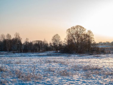 Karlı bir kış manzarasının arka planında güneş ışınları. Güneş ışınları. Bulutlu ufuk. Kış mevsimi. Karlı bir manzara. Soğuk bir hava. Mutlu noeller. Hava tahmini. Arkaplan resmi.