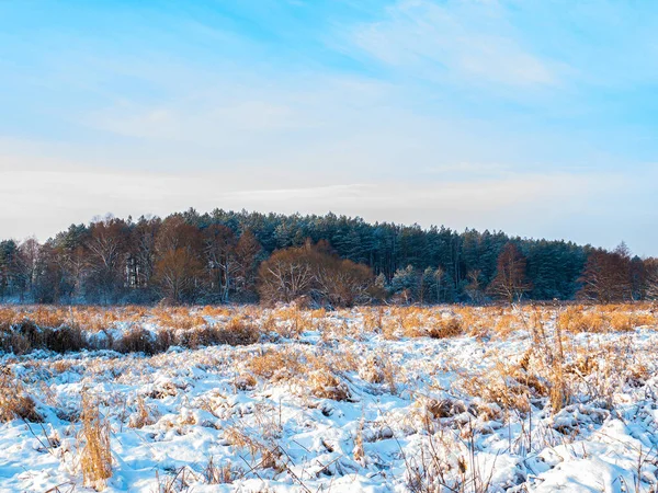 Paisaje Invernal Pradera Invernal Con Bosque Horizonte Nieve Blanca Horizonte —  Fotos de Stock