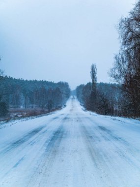 Orman ufkunu terk eden karda kış yolu.