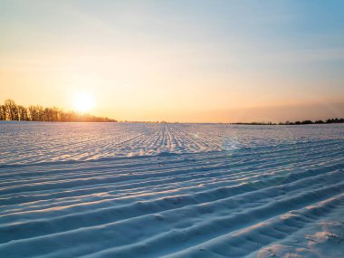 Kışın karlı bir tarla üzerinde güneşli bir gün batımı.