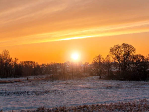 Soleado atardecer sobre un campo agrícola nevado en invierno. —  Fotos de Stock