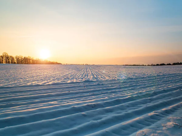 Ηλιόλουστο ηλιοβασίλεμα σε ένα χιονισμένο γεωργικό τομέα το χειμώνα. — Φωτογραφία Αρχείου