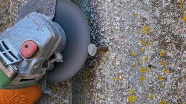 Cortar Clavo Hierro Con Disco Molino Eléctrico Herramientas Eléctricas Máquina — Vídeo de stock