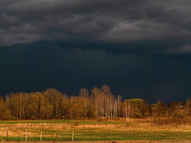 Ağaçlar bir gök gürültüsü bulutunun arka planına karşı. Bulutlu ufuk. Gökyüzü gök gürültülü bulutlarda. Kasvetli gökyüzü. Bir kasırga yaklaşıyor. Doğal kasırga. Fırtına yaklaşıyordu. Hava tahminleri.