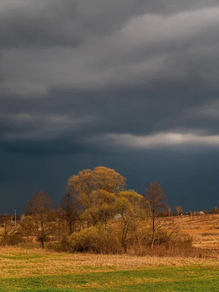 Bäume Vor Dem Hintergrund Einer Gewitterwolke Bewölkter Horizont Der Himmel — Stockfoto