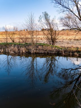 Kıyıdaki ağaçlar gölün suyuna yansıyor..