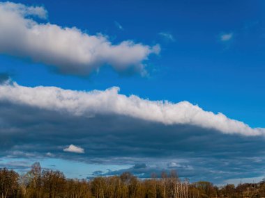 Orman ufku beyaz bulutlu mavi gökyüzüne karşı.