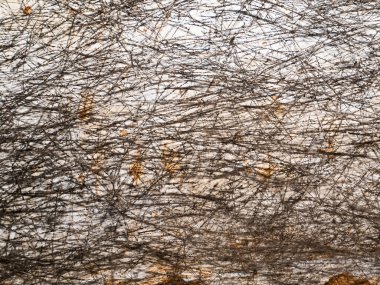 Örümcek ağının dokusu dumandan simsiyahtır..