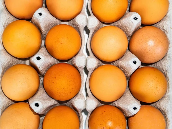 Ovos Galinha Embalagem Papelão Sobre Fundo Branco Ovos Galinha Embalagem — Fotografia de Stock