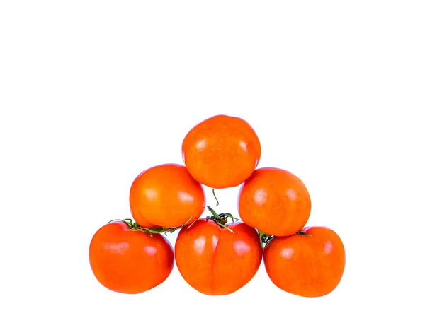 Red Tomatoes Vegetables White Background Red Tomato Vegetable Harvesting Tomato — Stock Photo, Image