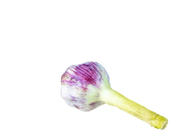 Beyaz Arka Planda Sarımsaklı Sebze Soğanı Allium Sativum Baharatlı Sarımsaklı — Stok fotoğraf