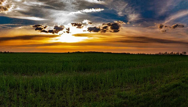 Wolken Den Orangefarbenen Strahlen Des Sonnenuntergangs Über Einem Grünen Feld — Stockfoto