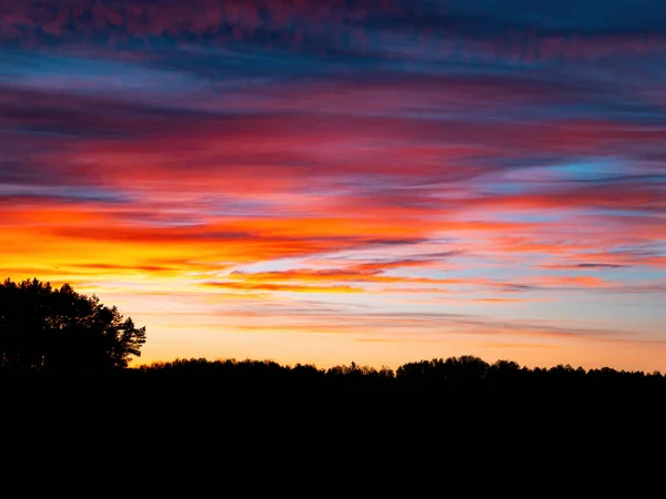 Cielo Nei Colori Arancio Tramonto Soleggiato Sull Orizzonte Della Foresta — Foto Stock