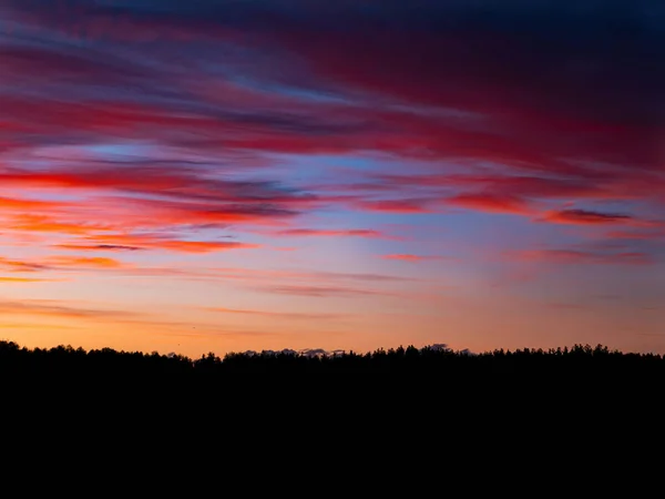 Cielo Nei Colori Arancio Tramonto Soleggiato Sull Orizzonte Della Foresta — Foto Stock