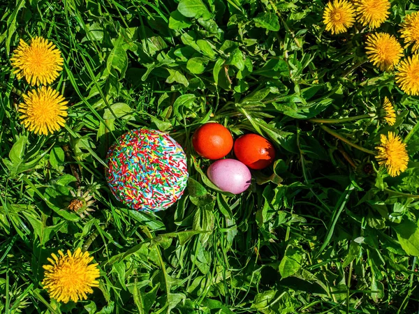 Barevná velikonoční vejce v zelené trávě s pampeliškovými květy. — Stock fotografie
