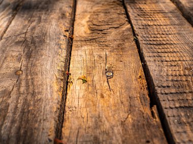 Eski tahta bir sıranın yüzey dokusu..