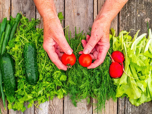 Verduras Manos Vendedor Mostrador Comercio Madera Pepino Verde Tomate Rojo — Foto de Stock