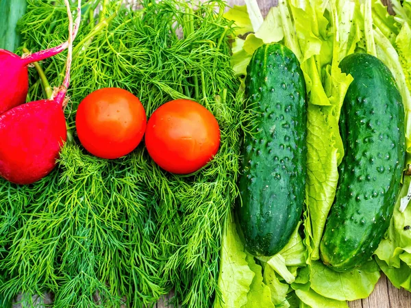 Los Pepinos Con Los Tomates Los Rábanos Sobre Verdura Vegetal — Foto de Stock