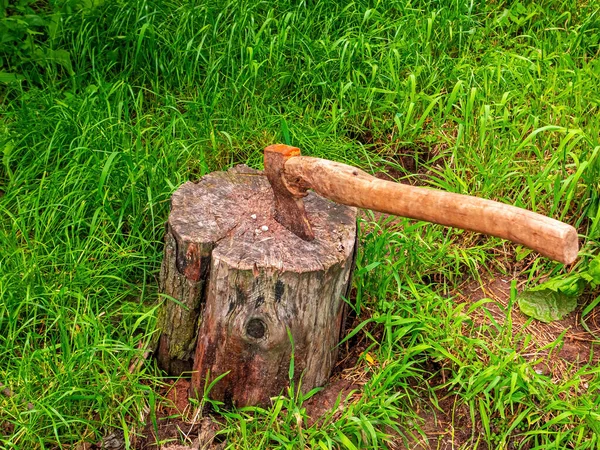 Para Cortar Madera Tronco Árbol Hacha Leñador Picar Madera Muñón — Foto de Stock