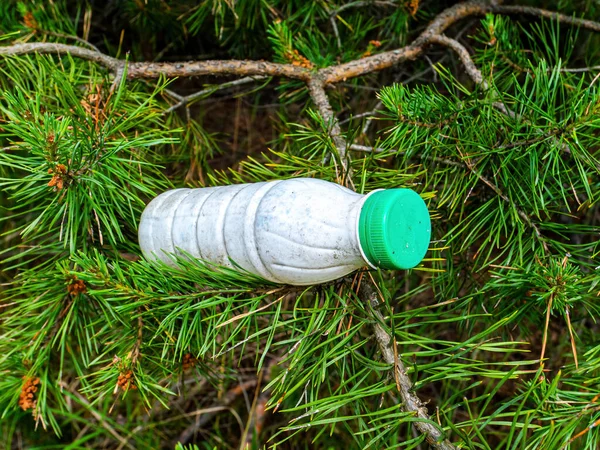 Plastikowa Butelka Mleka Gałęzi Sosny Plastikowe Śmieci Odpady Domowe Zanieczyszczenie — Zdjęcie stockowe
