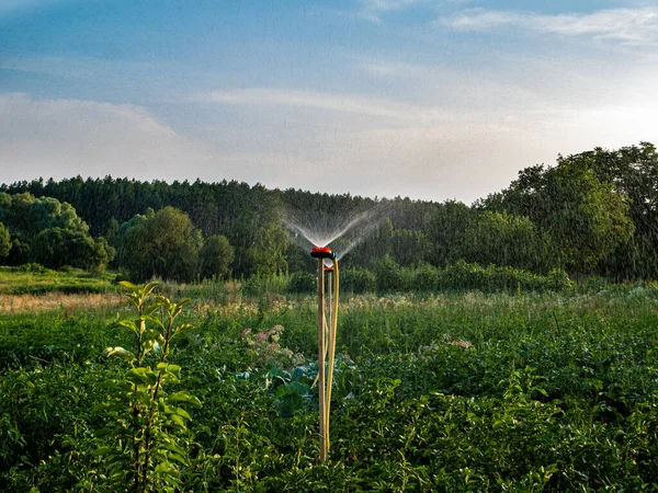 Sistema Irrigazione Innaffiare Acqua Agricoltura Irrigazione Campo Agricolo Spruzzando Acqua — Foto Stock