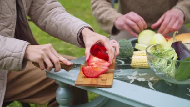Žena krájí rajčata, muž dává jinou zeleninu na talíř na piknik v přírodě — Stock video