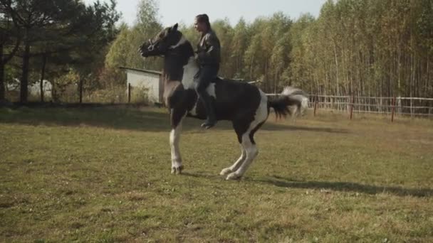 Een ervaren amazone te paard tilt het paard op zijn achterpoten en prijst het door zijn nek te strelen. Met slow motion — Stockvideo