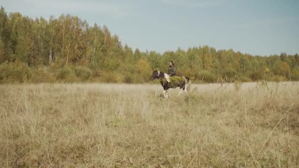 Paardensport toerisme. Een afgelegen en rustige rit te paard door pittoreske velden en bossen onder de warme herfstzon. — Stockvideo
