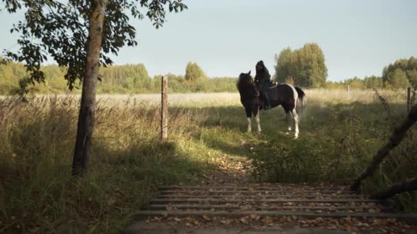 Scénický záběr, venkovská krajina na ranči s mladou dívkou v sedle klasického amerického tečkovaného koně na pozadí pole a lesa. — Stock video