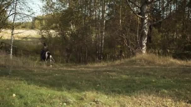 Una giovane ragazza di campagna cammina a cavallo attraverso il villaggio in una giornata autunnale. Paesaggio rurale, foresta e sentiero. — Video Stock