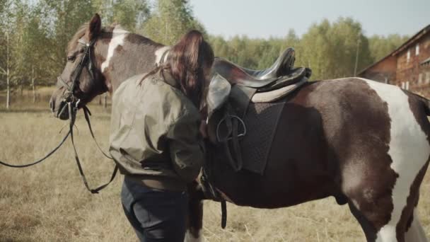 En erfaren ryttare efter att ha ridit en häst lossar den, lossar omkretsen under sadeln — Stockvideo