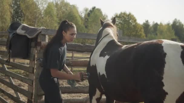 Ładna dziewczyna opiekuje się swoim koniem w jesienny dzień, czyści i myje go przed stajnią — Wideo stockowe