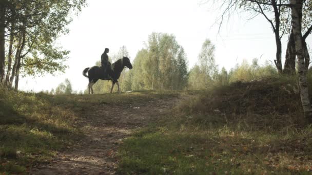 Eine malerische Aufnahme, die Silhouette eines jungen Reiters auf einem Pferd auf einem Hügel an einem ruhigen Sommerabend. — Stockvideo