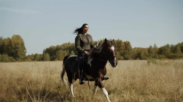 Красивая мощная лошадь и ее опытный всадник девушка мчатся по осеннему полю к свободе — стоковое фото