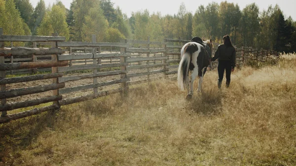 Ragazza carina e il suo fedele cavallo stanno camminando lungo il campo lungo la recinzione, vista dalla parte posteriore — Foto Stock