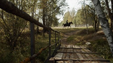 Eski ahşap köprü. Kırsal alan. Genç bir binici bir yaz akşamı huş ağaçlarının gölgesinde yürüyor..