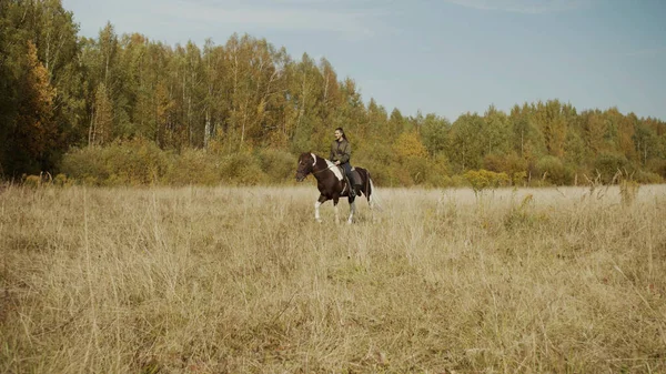 Turismo equestre. Um passeio de cavalo isolado e tranquilo através de campos pitorescos e florestas sob o sol quente do outono. — Fotografia de Stock
