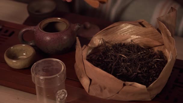 Bienvenido maestro asiático de la casa está preparando un té fragante para su familia y los invitados. Pone té en la tetera con un par de pinzas de té. — Vídeo de stock