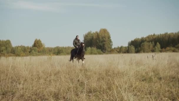 A beautiful powerful horse and its experienced rider a girl race through the autumn field towards freedom. Slow motion effect — Stock Video