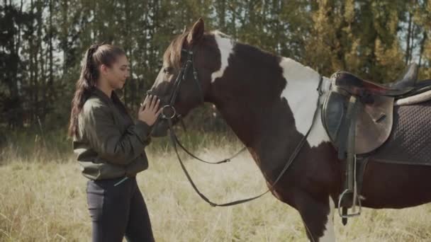 Μια νεαρή όμορφη γυναίκα αναβάτης εγκεφαλικά επεισόδια, δίνει ανάπαυση και να τρώνε φρέσκο γρασίδι στην αγαπημένη φοράδα της μετά από μια δύσκολη και μακρινή πεζοπορία άλογο, αργή κίνηση. — Αρχείο Βίντεο