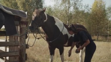 Yarışmaya katılmadan önce, genç bir kadın atı yıkar ve ona güzel bir görünüm verir.