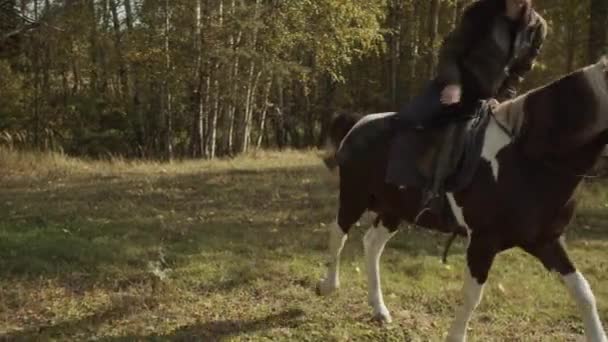 Осенью молодая девушка возле конюшни садится на лошадь и идет гулять спокойным шагом. — стоковое видео