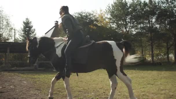 若い女の子のライダーはすぐに彼女の国のプロットの周りを散歩に行くために美しい馬の鞍にジャンプします. — ストック動画